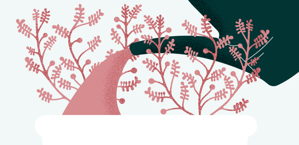 Illustration som föreställer en vattenkanna som vattnar en rosa växt.