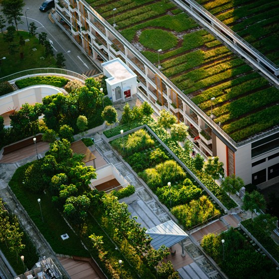 Bild av framtidens gröna stadsmiljöer