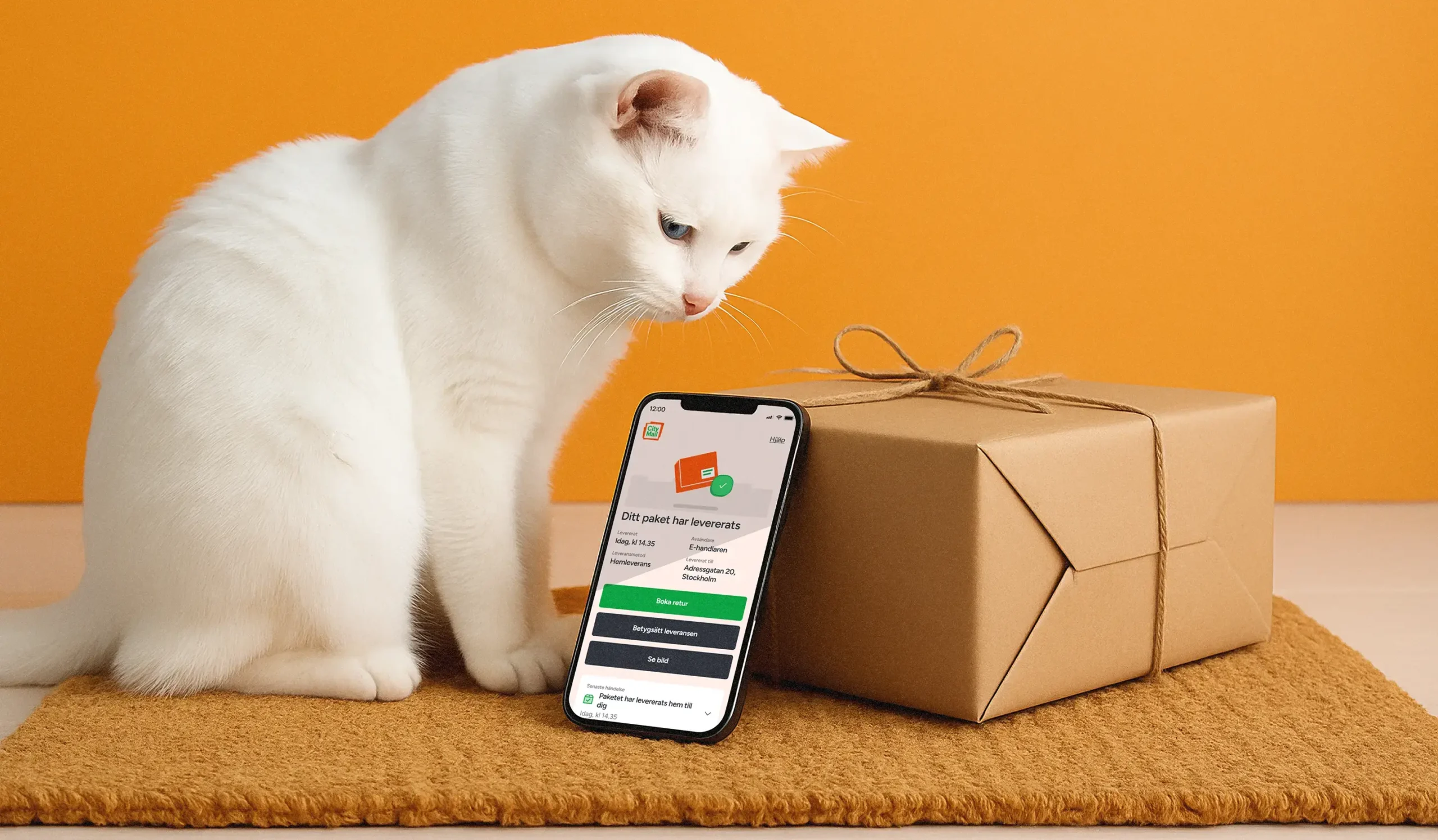 Citymail paket och katt