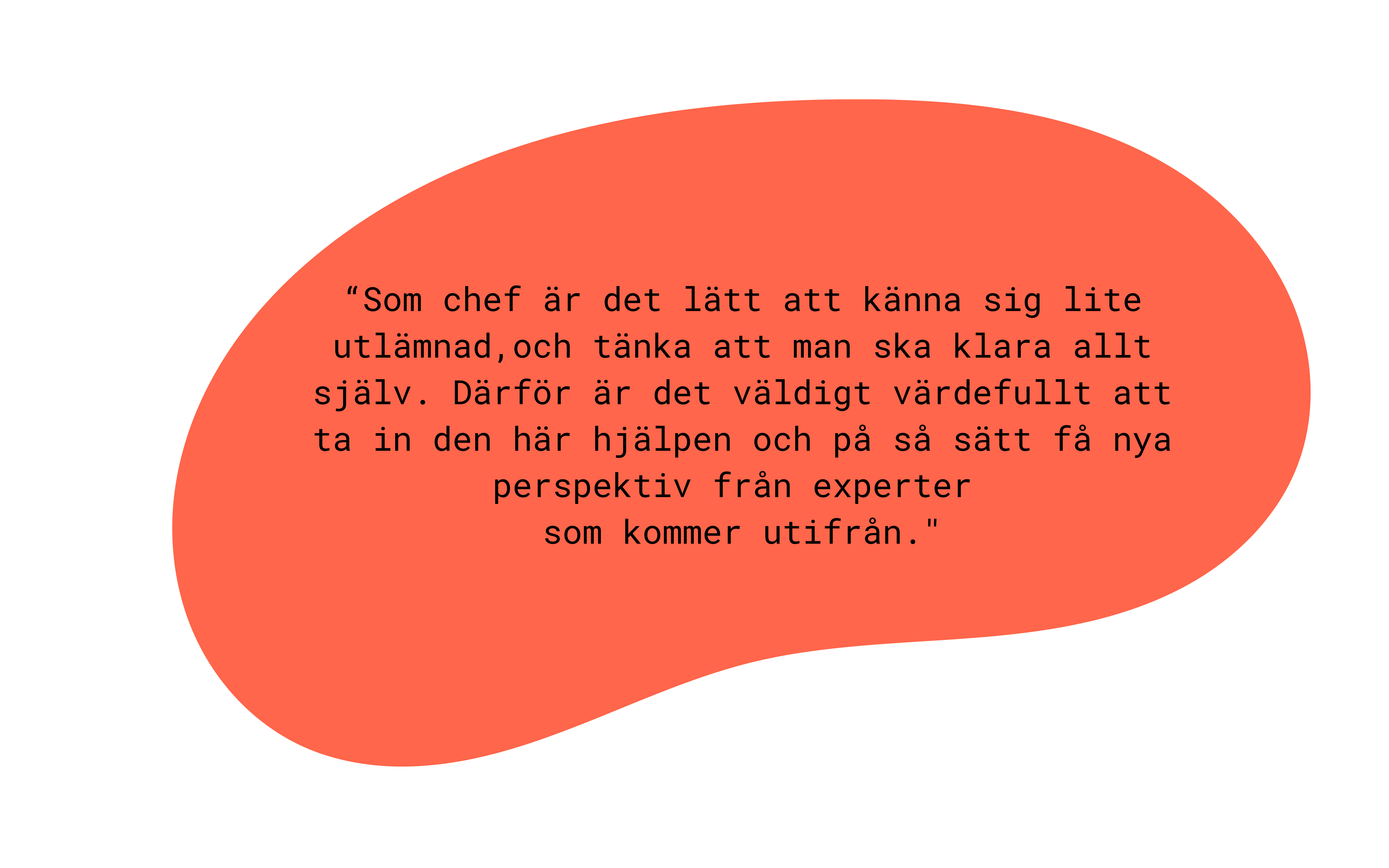 Ett citat: "Som chef är det lätt att känna sig lite utlämnad och tänka att man ska klara allt själv. Därför är det väldigt värdefullt att få in den här hjälpen och på så sätt få nya perspektiv från experter som kommer utifrån"